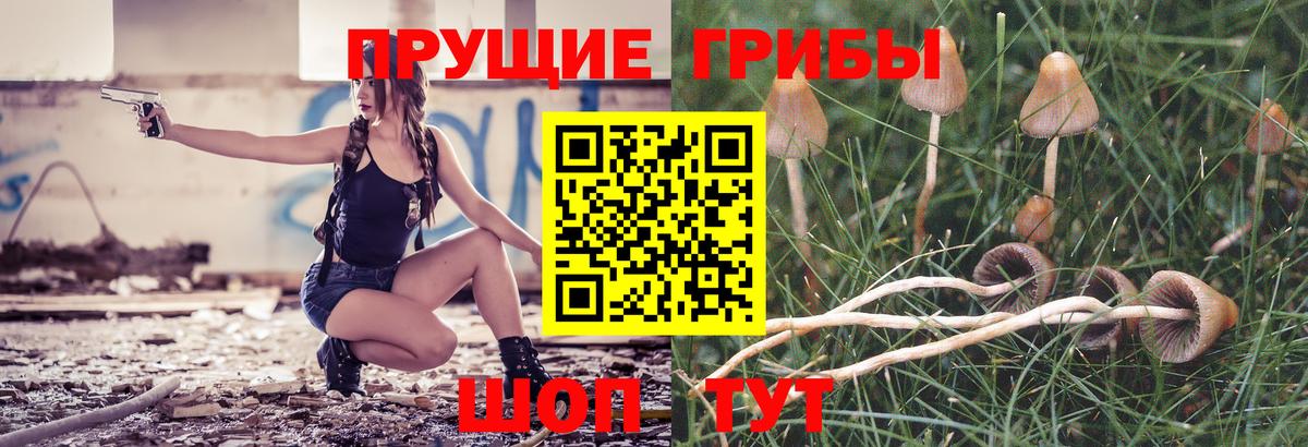 Галлюциногенные грибы мухоморы  Вход с VPN  Клин 
